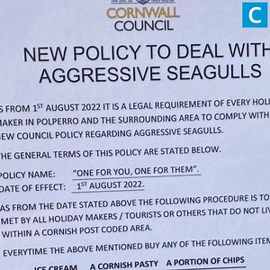 Cornwall Live on Reels