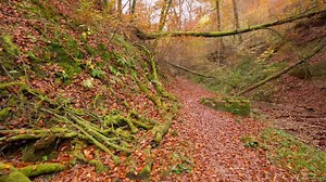Germany 4K Nature Walk | Sirzenicher Waterfall & Autumn River Trail – Trier
