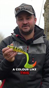 18K views · 256 reactions | This might just revolutionise your pike lure tactics   @kev_cox_foxrage is back with an explosive take on pike fishing. Discover how big, bold lures can be used to trigger aggressive pike bites and watch stunning underwater footage from Horseshoe Lake as he tests lure colours and patterns that even stubborn pike can't resist. Stream the full video for FREE on the Fox Rage TV YouTube channel. #PikeFishing #Foxrage | Fox Rage | Facebook