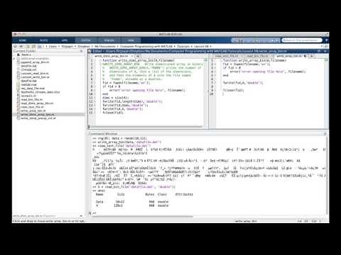 Lesson 8.4 Binary Files (new version)