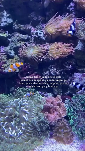 Exploring Vibrant Coral Reefs and Marine Life