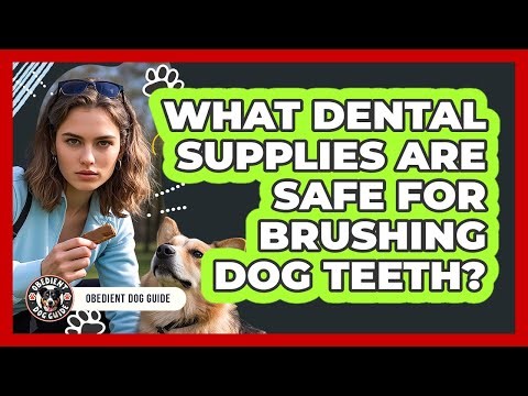 What dental supplies are safe for brushing dog teeth?
