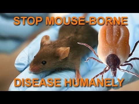 How to kill ticks - Thermacell Tick Tubes Explained and Tested