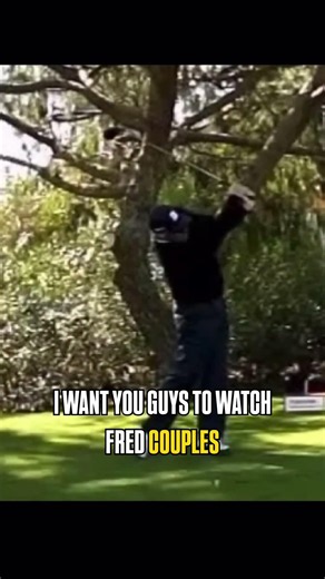 Fred Couples' effortless power explained 😳 #golf #golfswing