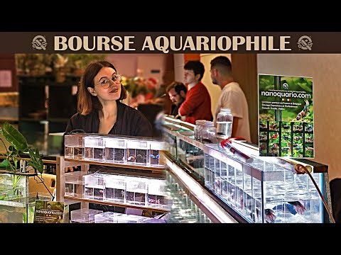 MA PREMIÈRE BOURSE AQUARIOPHILE ! (J'ai objectivement le meilleur stand) 😍