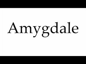 How to Pronounce Amygdale