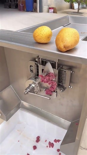Commercial Multi Function Dicer—One Machine Does It All! Dices Anything Evenly and Effortl