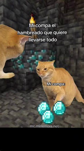 Gato Minecraft Meme sobre Llevarse Todo