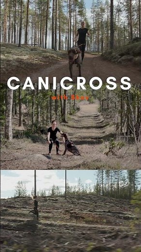 Canicross 🐕-🏃