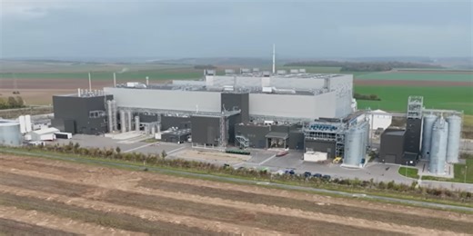 Groundbreaking footage of insect farm reveals major concerns