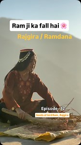 Episode - 12, seeds of lord Ram , Ramadana / Rajgira / cholai / local name - Bhabari #Village #himachal #chamba #mountains #khushi_themountainvillager | Khushi Dei