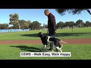 CEWS PRESENTATION VIDEO