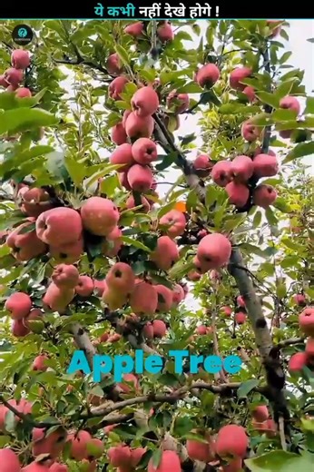 Some Useless Funny Facts ! #facts #shorts