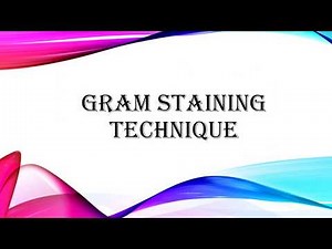 Gram Staining Technique and its Details - Microbiology with Sumi