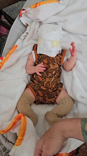 nlovewithreborns2011 on TikTok