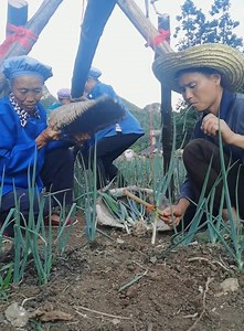 1.5M views · 10K reactions | The most fun video of 2021 # 18 | Charlie Vip | Facebook