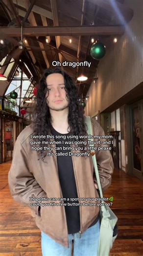 Dragonfly: A Heartfelt Indie Folk Song for Your Playlist