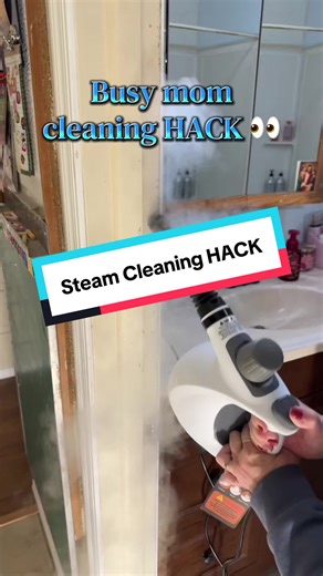 Handheld Steam Cleaner for Busy Moms