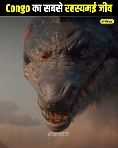 🤯 Congo का सबसे रहस्यमई जीव | Most Mysterious animal of Congo The Mahamba😱🤯 @AtomFacts