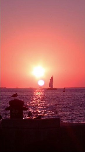 WOW! Mallory Square Sunset | Key West’s Magical Evening Tradition. Unbelievable. Florida #roadtrip