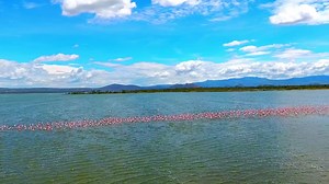 Lake Elmenteita Serena Camp | Soysambu Conservancy | Lakeside Staycation
