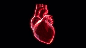 Heart beat loop with alpha channel_Prores_4K resolution_low-poly llook