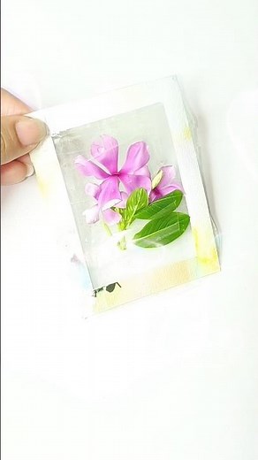 Pressed Flower Frame DIY | Aesthetic Handmade Art Idea ||#PressedFlower #DIYCrafts #HandmadeArt