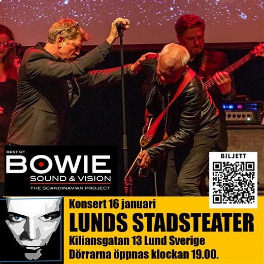 Best of Bowie/Sound & Vision är en totalupplevelse i ljud, ljus och bild. Showen omfattar hela bredden av David Bowies bakgrundskatalog, med fokus på hans starkaste liveögonblick. Bandet har spelat i Tyskland, Sverige och Danmark under ett antal år – senast i Aalborg för 5000 personer tillsammans med Queen Machine. Martin Stokbros sång påminner om originalet, men ger musiken ett modernt uttryck. Bandet spelar med Bowies ikoniska alter ego Ziggy Stardust, som då och då kliver fram i en livlig dia