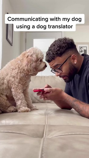 Communicating with my dog using a dog translator