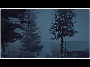 Intense Winter Storm at the Black Lake: Howling Blizzard Sounds as Windy ASMR