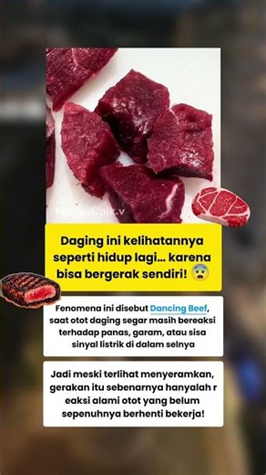 Daging Ini Bergerak Sendiri di Piring?! Fenomena Dancing Beef Bikin Merinding 😱