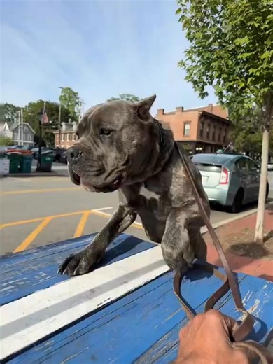 Leroy Williams on Reels