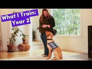 Everything My Service Dog Is Training For in 2026