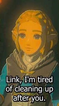 Zelda Taxes Her Kingdom #zelda #mastersword #totk #tearsofthekingdom #zeldasword #zeldabotw #link