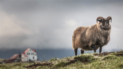 Layer mask essentials - Photoshop Video Tutorial | LinkedIn Learning, formerly Lynda.com