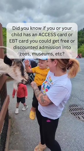 Explore Museums for Free with EBT Benefits