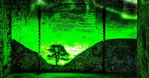 Stunning Newcastle Cathedral installation includes tribute to Sycamore Gap tree