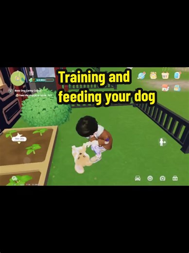 Training Your Corgi: Essential Tips and Techniques