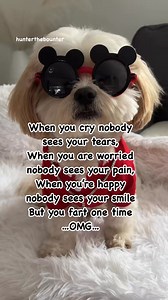 476K views · 8.9K reactions | Like they’ve never farted  #comedy #humor #funny #jokes #OMG #fart | Hunter the Bounter | Facebook