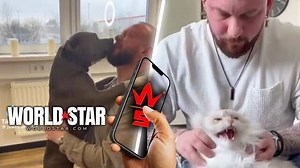 Rott For Sure Thought He Checked Out Of Life: Animal Chiropractor Doing Neck Manipulation... All These Animals Ain't Know What Just Happened!