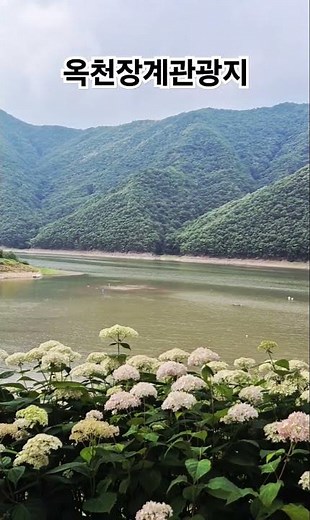 옥천 장계관광지 #옥천여행 #장계관광지 #장계유원지 #옥천맛집 #옥천장계관광지 #한황희기자 #충북미디어tv