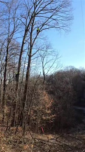 Arriba México 🇲🇽🇲🇽 🤟🏻🤟🏻🤘🏻🤘🏻