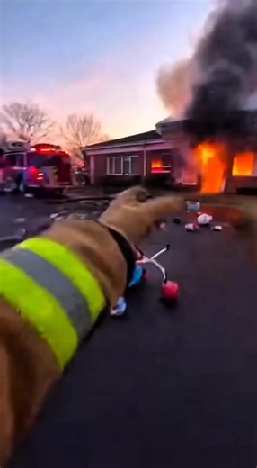 Heroic Firefighter Rescue: A Cinematic Experience