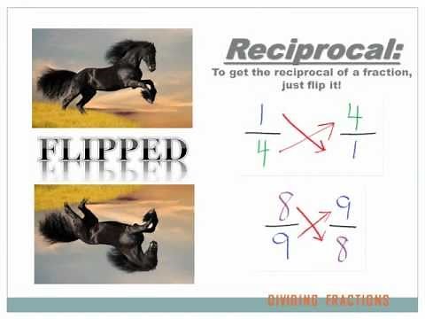 Dividing Fractions: 6th grade math