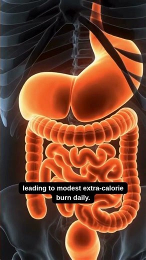 5 Reasons Why Apple Cider Vinegar Helps with Weight Loss