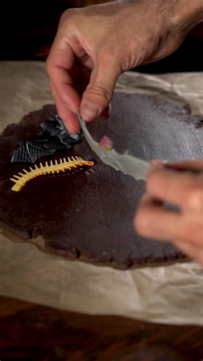 The cool thing about these cookies is that they hold their shape very nicely. You can use cookie stamps if you'd like, but for these, I used plastic bugs. The glaze highlights the design. RECIPE 6 TBSP Soft Butter 1/3 cup Brown 1 Egg Yolk 1/3 cup Molasses 1 ¾ cups All-Purpose Flour 2 ½ tsp Pumpkin Pie Spice 3 TBSP Unsweetened Cocoa Powder 1/2 tsp Baking Soda 1/4 tsp Salt GLAZE 1 cup Powdered Sugar 1 TBSP Melted Butter 1/2 tsp Vanilla Extract 2 TBSP Warm Water Dough -Cream together softened butte