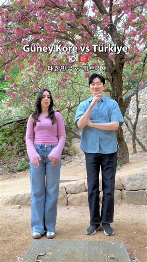 Türkiye vs South Korea: Do We Really Have to Choose One? 🇹🇷🤔🇰🇷 #korean #shorts