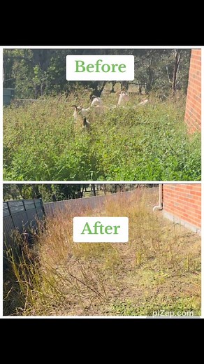 1.5K views · 225 reactions | A quick update on our recent before and...