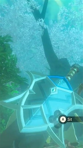 BOTW Master Sword Glitch