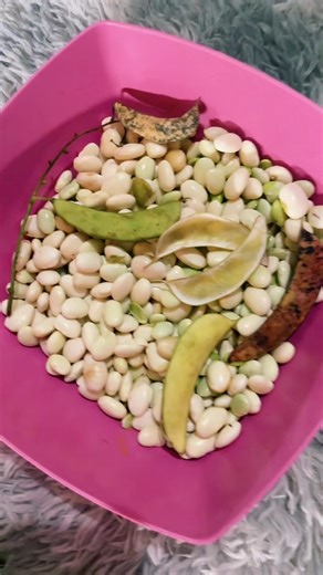 Você conhece? Fava. #fava #alimentos #nordeste #deliciosa #culinaria